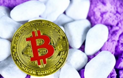 LTC实时价格_LTC今日价格行情-LTC最新消息