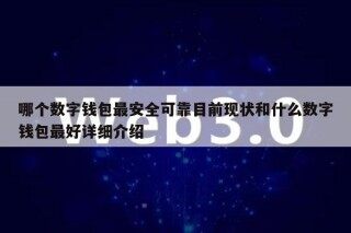 哪个数字钱包最安全可靠目前现状和什么数字钱包最好详细介绍