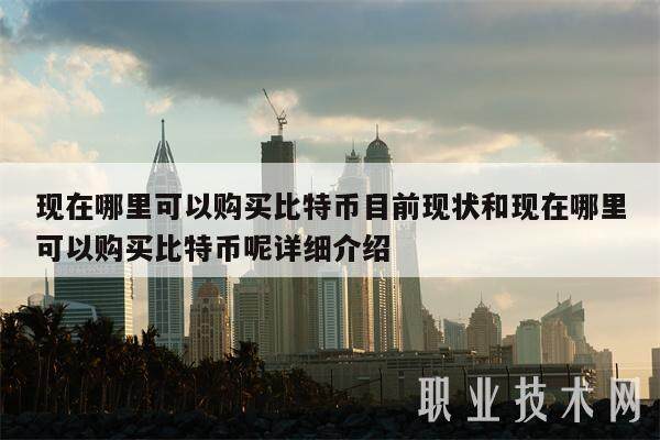 现在哪里可以购买比特币目前现状和现在哪里可以购买比特币呢详细介绍-第1张图片-欧意下载