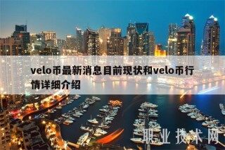 vblo币最新消息目前现状和vblo币行情详细介绍