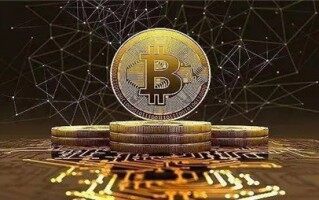 2024 年加密趋势报告：行业专家谈 BTF、减半、AI……