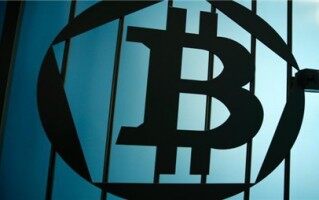 Arbitrum链上宠物PBT爆火！采用PBT、BPBT双代币模式