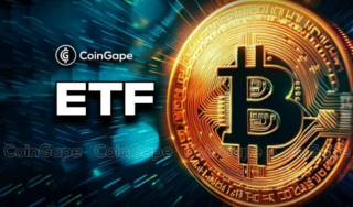 现货比特币BTF：灰度资金流出放缓
