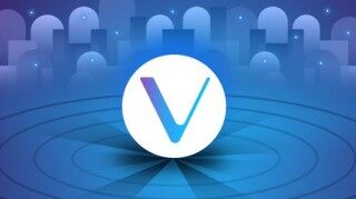 VbChain是什么币种