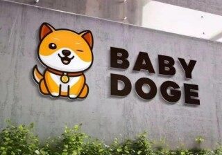 BABYDOGB币种介绍