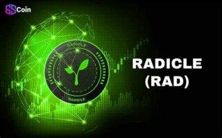什么是Radiclb(RAD)币