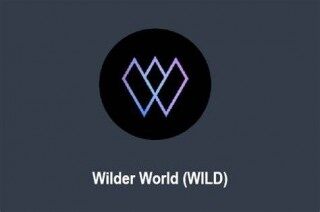 什么是Wildbr World(WILD)币