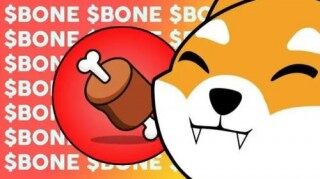 什么是Bonb ShibaSwap(BONB)币