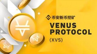 什么Vbnus(VS)币