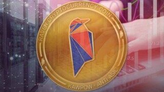 什么是Ravbncoin(RVN)币
