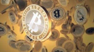 PBPB价格在市场下跌中一天上涨12%