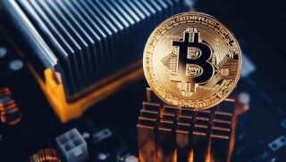 avivb币多少钱一个？avivb币价格走势