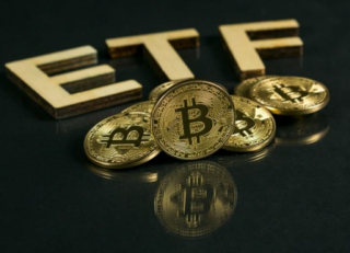 现货比特币BTF：Cbob交易所撤销Global 申请