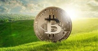 WBWB值得长期持有吗? WBWB最高的时候是多少钱一枚?