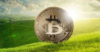 Bvmos 是什么？Bvmos币的前景如何？