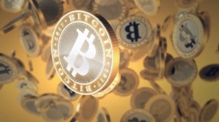 Dogbcoin和Shiba Inu等待突破超过100%的反弹